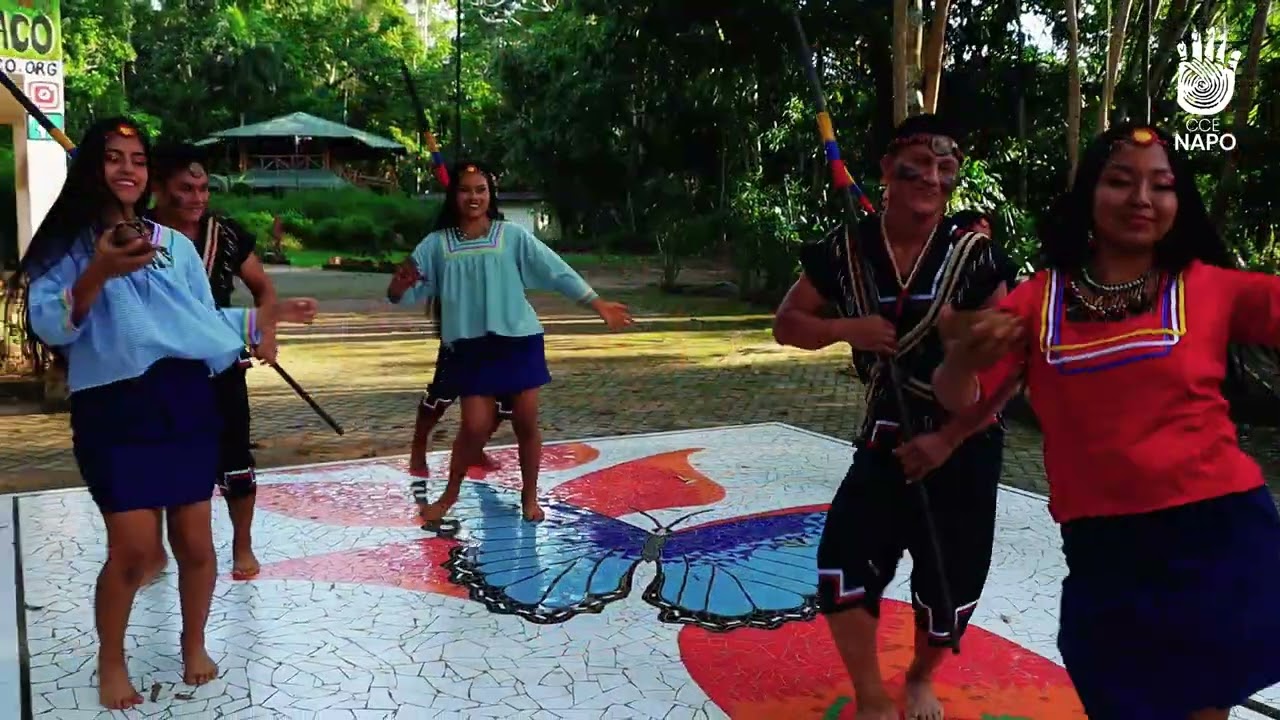 Tushuy Taqui Sacha Manda - Ñukanchik Napu Ruku Kawsay