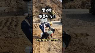 3월 농막 일상 #봄농막 #봄날 #자연속에서 #힐링라이프 #자연과 함께 #농막생활 #텃밭생활 #봄풍경 #시골생활 #주말농장 #텃밭일기