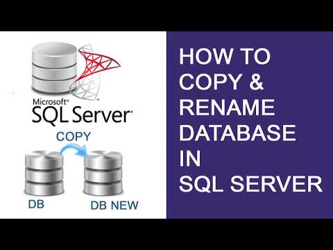 تصویری: چگونه یک پایگاه داده SQL را کپی کنم؟