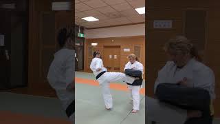 空手ビッグミットは楽しい