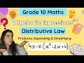Distributive Property Grade 9 Revision | Grade 10 Products: Simplifying Expressions