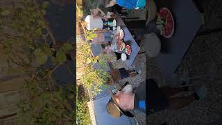 Аул Хатукай и Усть-Лабинск, сентябрь 2025 г.