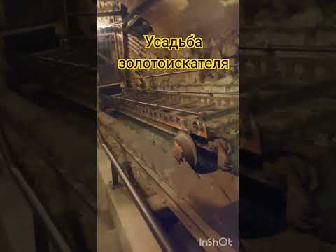 #усадьба #история #парк #shortvideo #short #короткиевидео #шортс #shortsvideo #park #history #gold