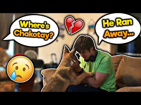 missing-dog-prank-on-mom-*fail*