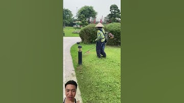 Máy Cắt Cỏ Cầm Tay Sự Đa Năng Tiện Dụng Mọi Địa Hình