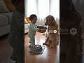 重すぎるご飯を運ぶ赤ちゃん…最後まさかの結末に🐶👶