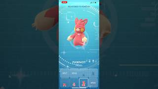 SHINY PAWMOT IN POKEMON GO!!! #pokemongo #shinypokemon #pawmo #pawmot SHINY PAWMOT IN POKEMON GO!!! #pokemongo #shinypokemon #pawmo #pawmot