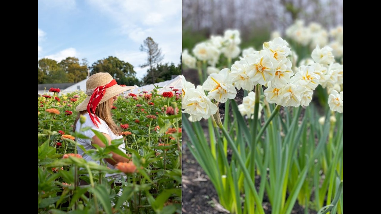 Slow Flowers Show Episode 756V: Sarah Coldwell of Honeybee Grove Flower Farm