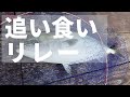 釣り堀の青物を釣り尽くす！「追い食いリレー」という力業