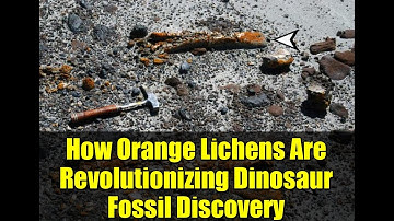 How Orange Lichens Are Revolutionizing Dinosaur Fossil Discovery | Drone Technology in Paleontology