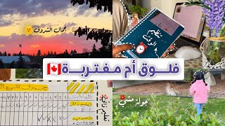 كيف أنظم وقتي كأم مغتربة + إلتزام  بتعلم مهارات وعادات جديدة ?؟