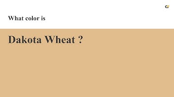 Dakota Wheat color #e1bd8e hex color - Brown color - Cool color e1bd8e