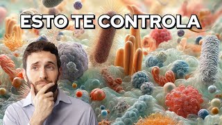 Cómo las Bacterias Controlan Tu Cerebro