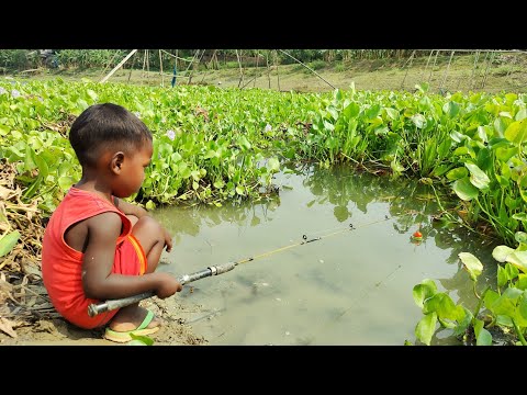 Best Hook fishing 2022✅|Smart Boy hunting fish by fish hook From beautiful nature🥰🥰Part-58