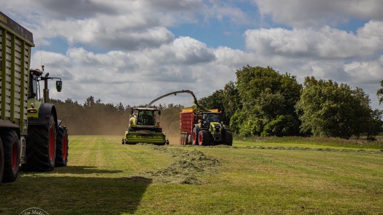 [4K] Grass Silage - Claas Jaguar 950 - Varde Maskinstation