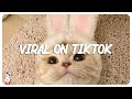 Tiktok hits 2022 🍕 Viral songs latest - Trending tiktok songs