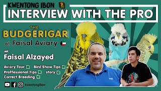 Budgerigars Birdshow tips from WBO Judge | interview with Faisal Alzayed | Faisal Aviary visit
