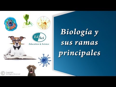 Vídeo: Quina és la definició de reducció en biologia?