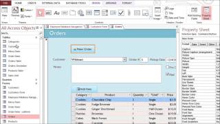 Access 2013 Customizing Form Settings Content