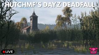 MFSURVIVAL DAYZ SERVER