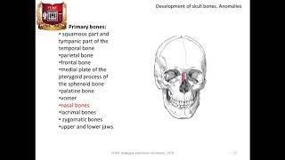 Development of skull bones. Anomalies