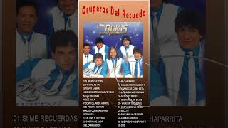 Los Bukis Cumbias Movidas - Los Bukis Puras Cumbias - 30 Grandes Éxitos Enganchados