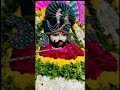 SHUBH EKADASHI #khatuwalekasahara #ytshorts #khatuwalashyam #shortsfeed 2025