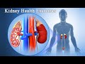 05 tai chi exercises for kidney health    taichi zidong