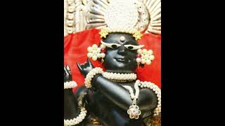 Pyare Radharaman Jadughar Sundar Mangala Darshan
