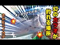 カセ釣り編: 和歌山でもコイツが釣れる場所はそうそうありません。幻のカツオが釣れる場所。