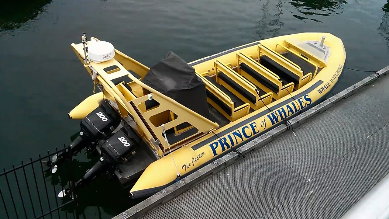 Zodiak whale watching tour with Prince of Whales in Victoria, Canada camera iphone 8 plus apk