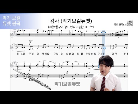 Capa de 감사 (손경민) (악기보컬듀엣 편곡 by 보컬한빛) | 손경민 | 플룻 | Flute