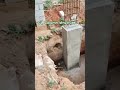 Raft Foundation structure design and building Structure #Civiltech4.O