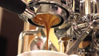 Espresso - Hayes Valley 20g dose - Quick Mill Anita Evo
