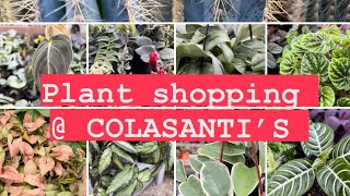 Plant Shopping @ Colasanti's  ( common plants for all plant collectors)