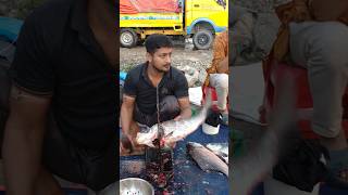 So Very Beautiful Katla Fish Cutting techniques #shorts