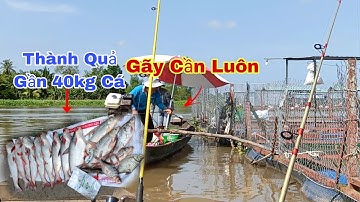 Câu Cá Trên Bè, Gặp Toàn Cá Tra Khủng Gãy Cần Luôn | Trần Đại Fishing