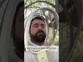 Hive Inspection Recap