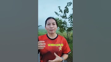 Chạy bộ có giảm mỡ máu xấu không?  | Dược Sĩ Hiếu #short #shorts #duocsihieu