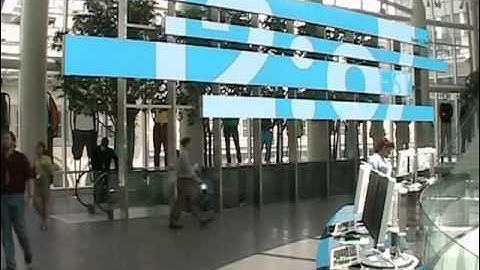 Infomaniac: Lisa Strausfeld