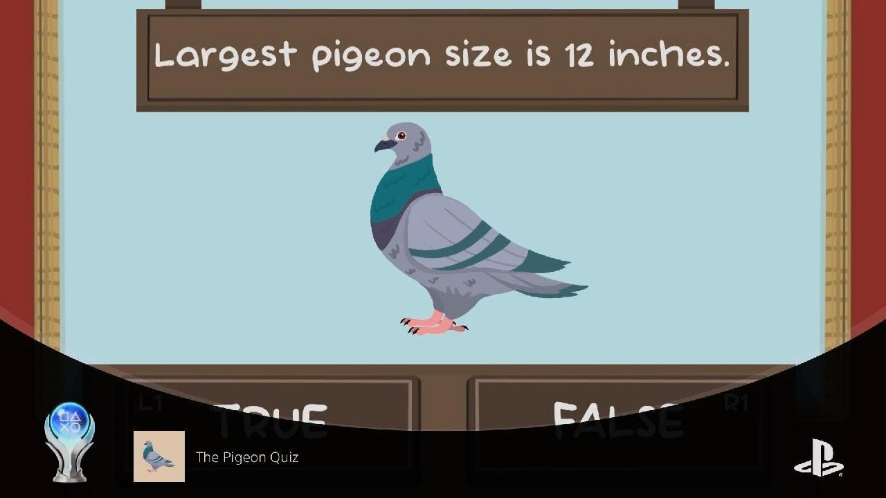 Pigeon Pigeon - Test et avis - Pixie Games - Carnet des geekeries