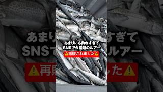 遂にあのルアーが再販されました。#short #shorts