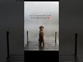 #trust #lifelessons #cheating #youtubeshorts #youtube