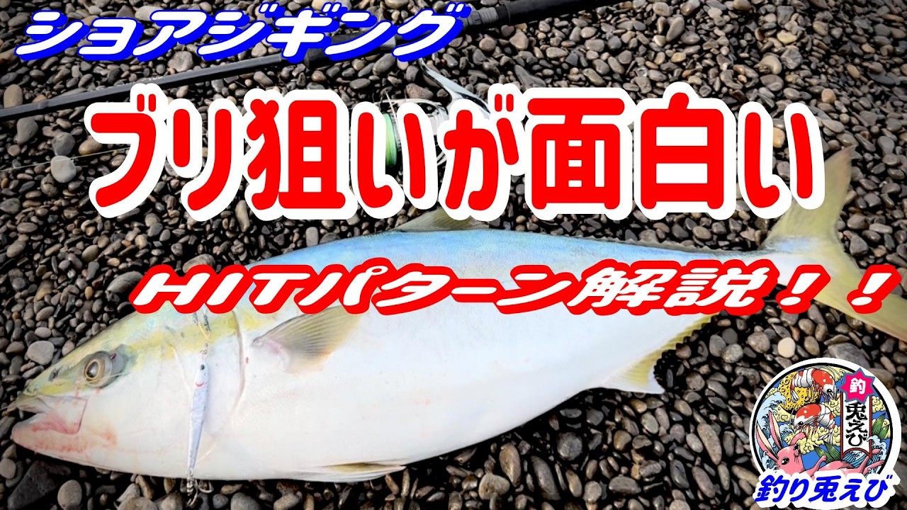 【ショアジギング】○○○を狙うと鰤族が連発！！