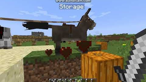 TamedRespawn 1.0.1 for 1.12.2 Forge Mod Overview