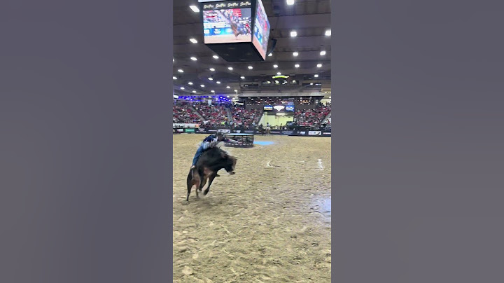 Bull got HOPS 💨 #buckingbulls