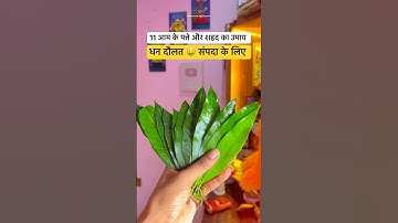 नवरात्रि मे आम के पत्ते का उपाय #pradeepmishrakeupay #pandit_pradeep_ji_mishra #shortsfeed #shorts