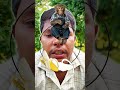 guess the monkeys banana 🍌 challenge 🎯 #guess #monkey #banana #challenge #viral #shorts