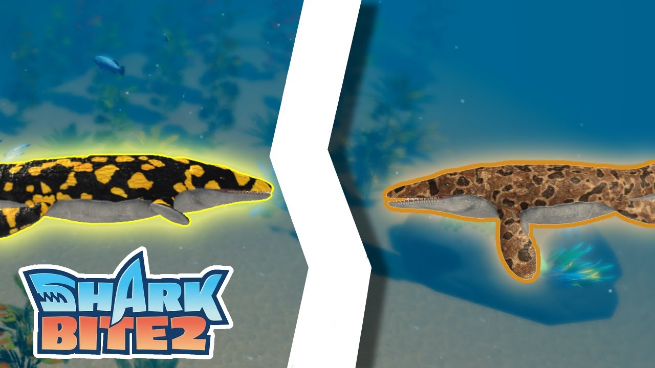 Squalo salamandra vs squalo serpente su roblox!