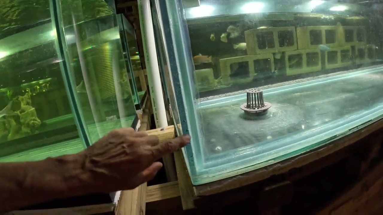 Repairing glass 240 gal 8x2x2ft tank blown out by jerks a year ago